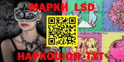стафф Новодвинск