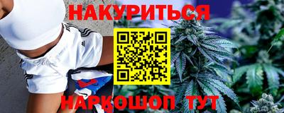стафф Новодвинск