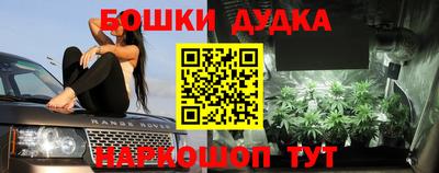 стафф Новодвинск